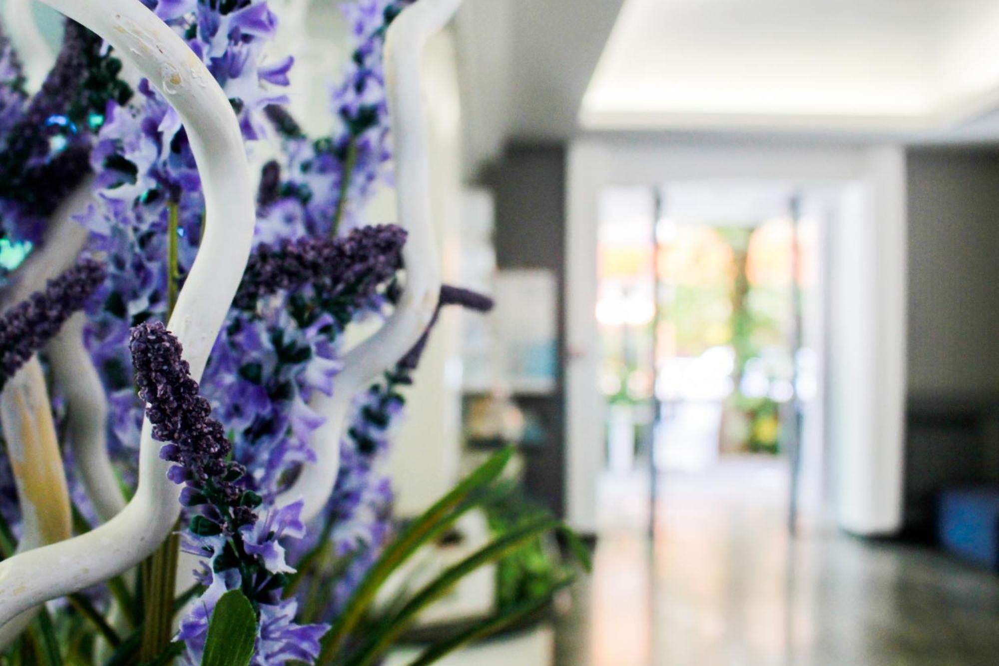 Hotel Della Motta Bellaria-Igea Marina Eksteriør bilde